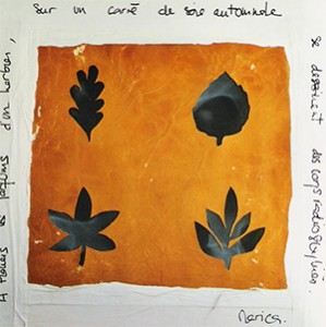 carré de feuilles